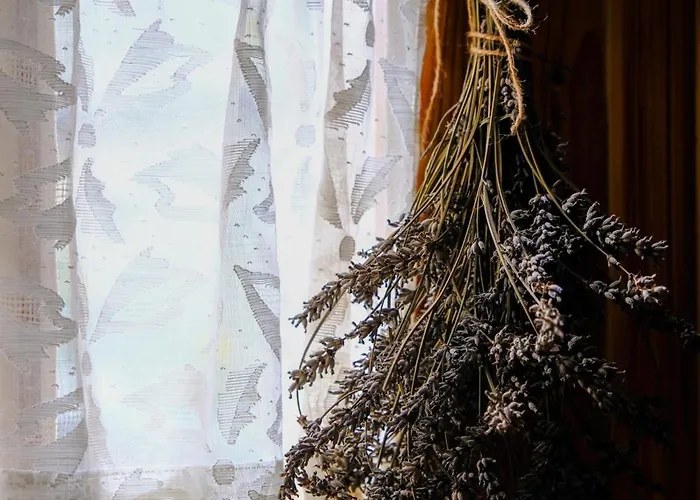 Le Reve D'aghon Et Restaurant Bagnères-de-Bigorre