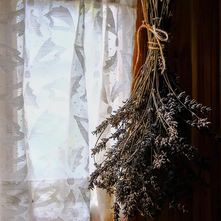 Le Reve D'aghon Et Restaurant בנרס-דה-ביגור